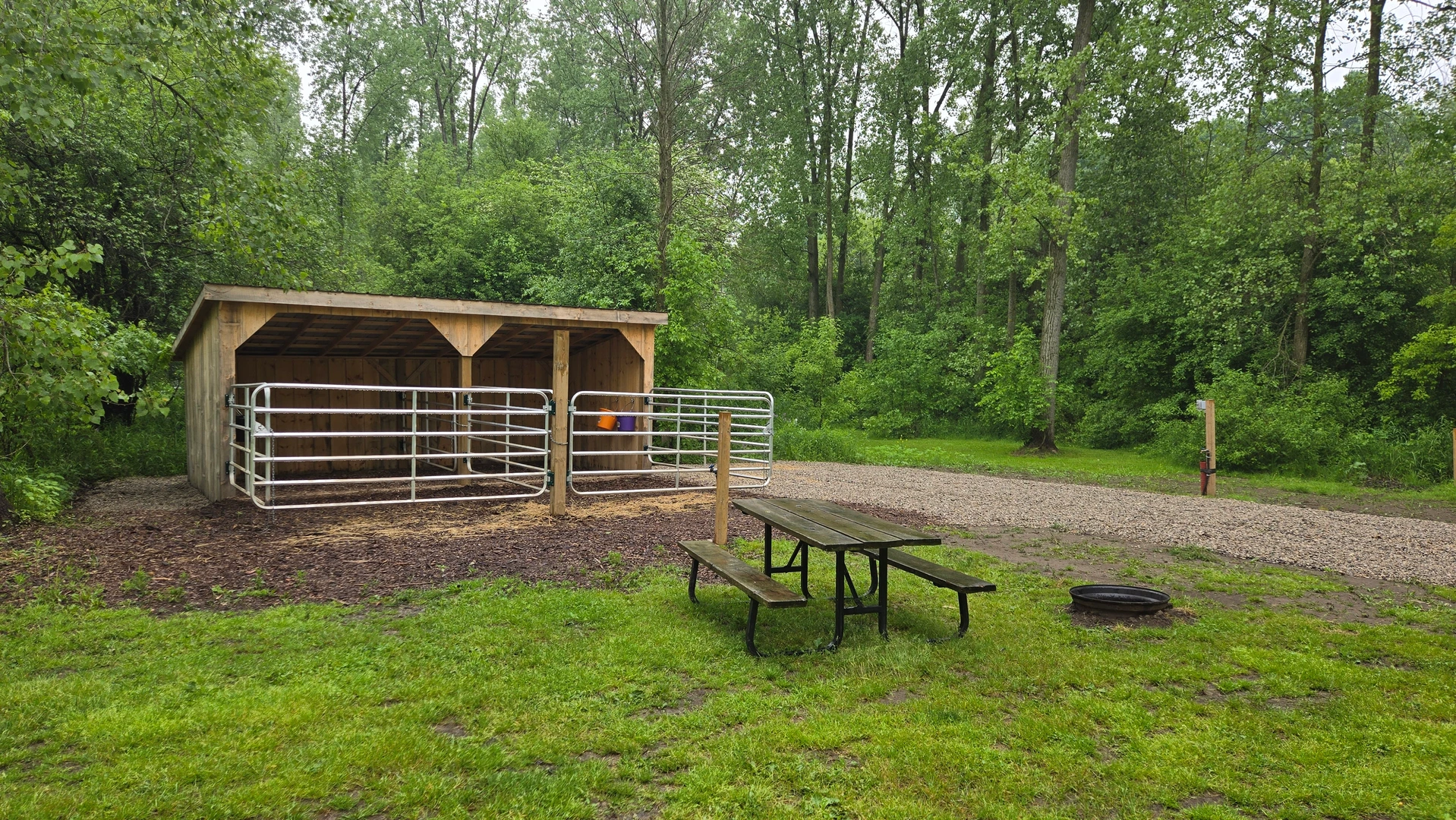 Horse Paddock