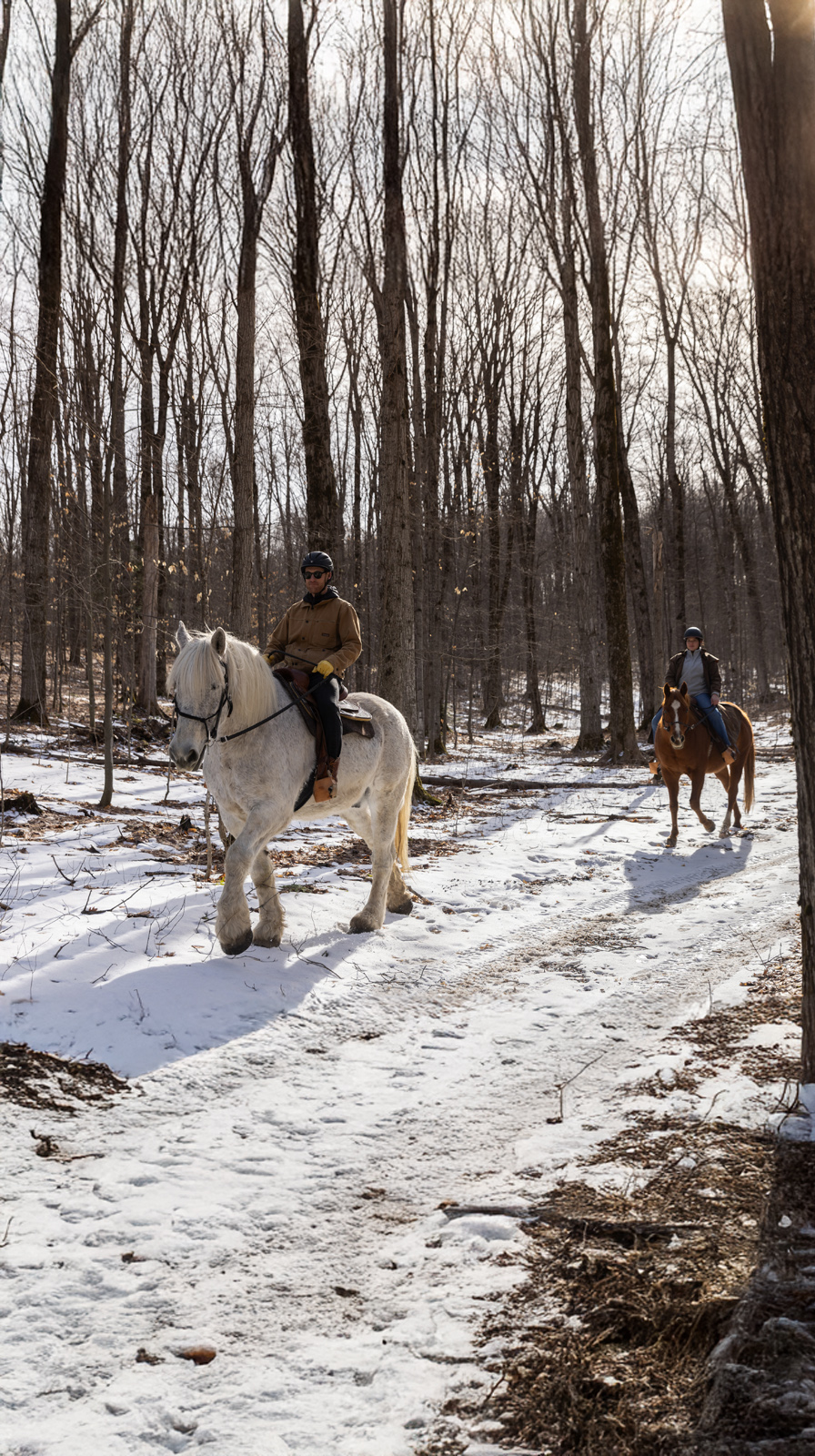 Horseback riding