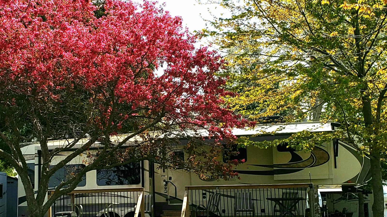 Caseys-park-campground-trailer-site